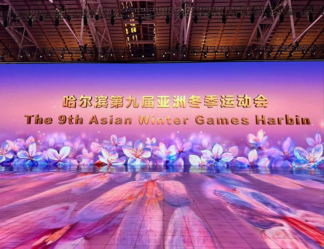 哈尔滨亚冬会中国体育代表团及有关工作团组临时党委（扩大）第二次会议举行